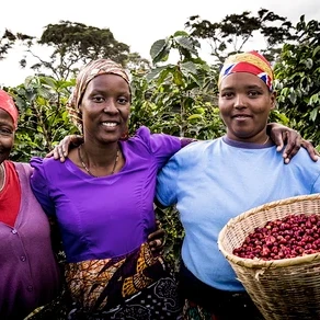 Drei Frauen mit Kopftüchern stehen auf einer Kaffeeplantage, eine hält einen Korb mit Kaffeebohnen.