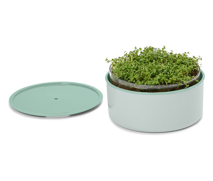 Anzucht-Set »Microgreens«