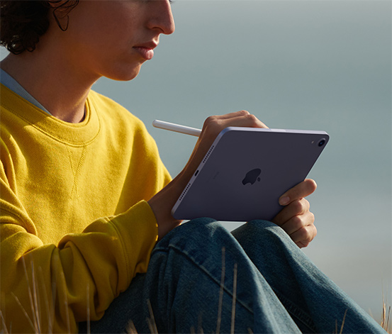Apple iPad mini 2021 8,3" 256 GB, space-grau online bestellen bei Tchibo  665616