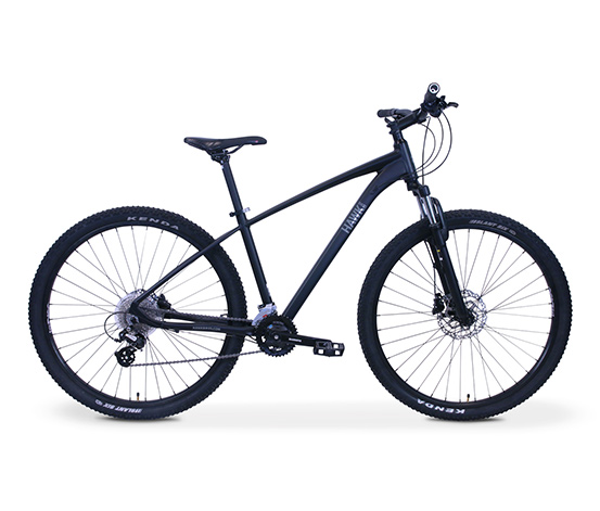 HAWK Bikes Fahrrad»Trail One Mountainbike Gent L«, schwarz, 29 Zoll online  bestellen bei Tchibo 660800