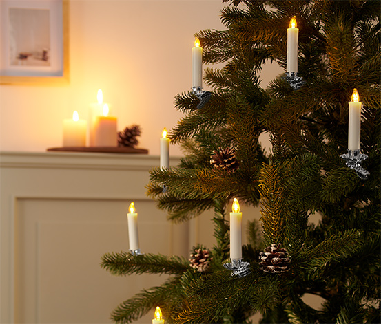 12 LED-Weihnachtsbaum-Kerzen, cremeweiß online bestellen bei Tchibo 644788