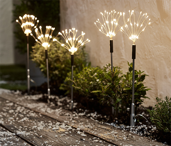 5 LED-Gartenstecker online bestellen bei Tchibo 618049