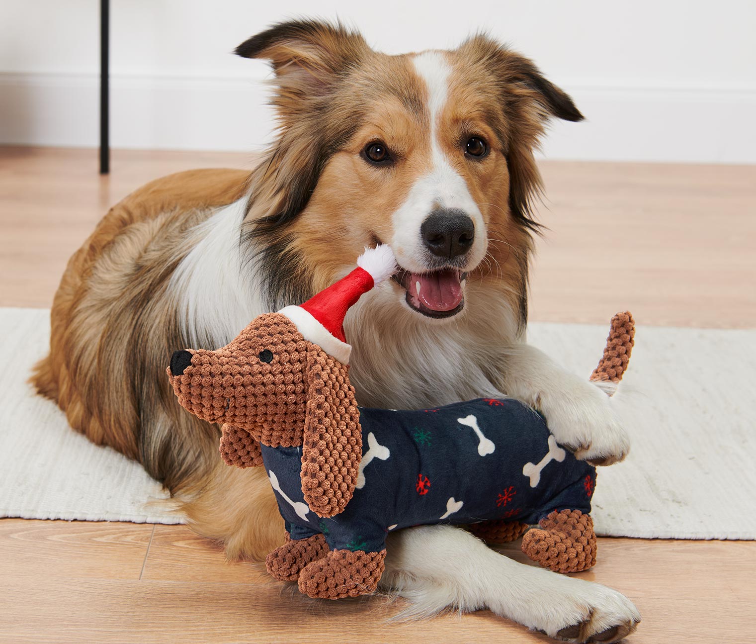 Hunde-Plüschspielzeug »Dackel« online bestellen bei Tchibo 672044