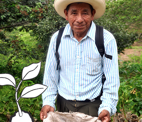 Barista Fairtrade Kooperativen