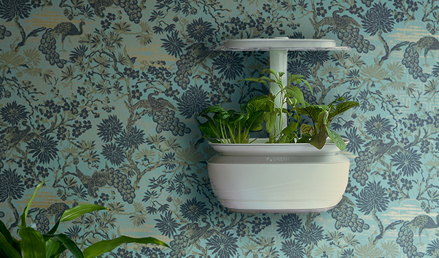 Bosch SmartGrow Life – Indoor Gardening für Zuhause