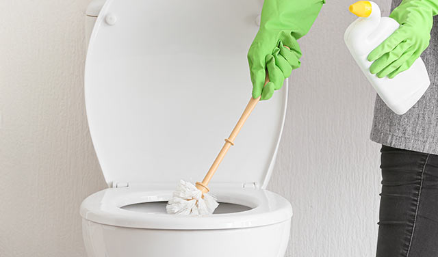 Toilette reinigen: WC hygienisch putzen | TCHIBO